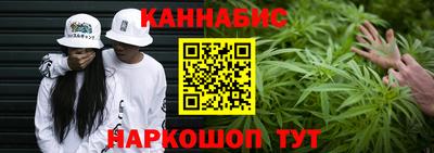 индика Мариинск