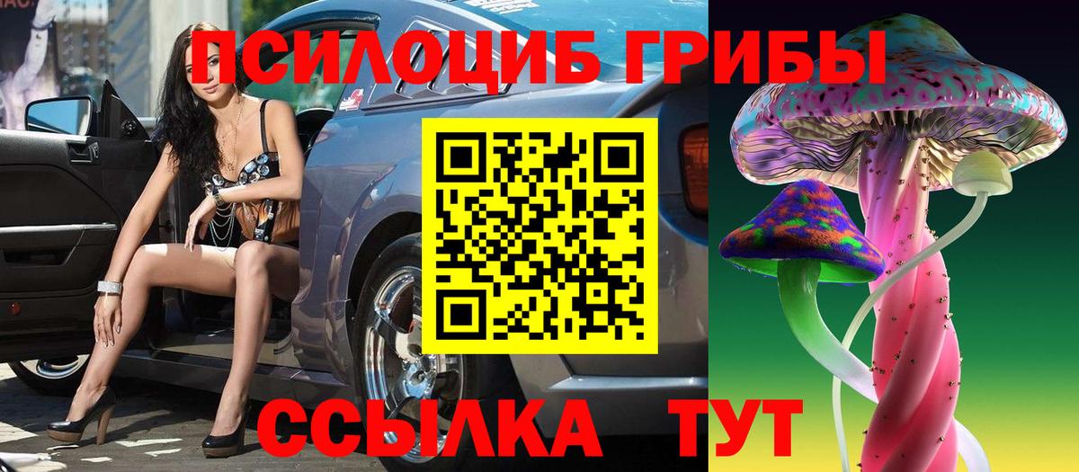 Галлюциногенные грибы мицелий Брянск